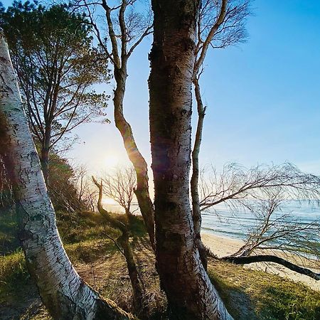 Sea Breeze Apartment ジブヌベク エクステリア 写真